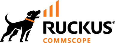 Ruckus Networks